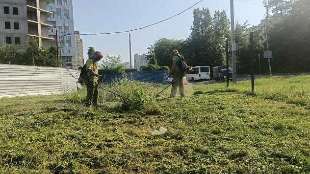В Краснодаре скосили амброзию и сорняки на площади более 19 тысяч гектаров