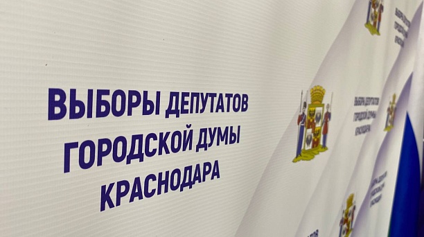 В Краснодаре 30 августа стартуют поквартирные и подомовые обходы избирателей
