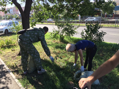 В Западном округе продолжается ликвидация амброзии
