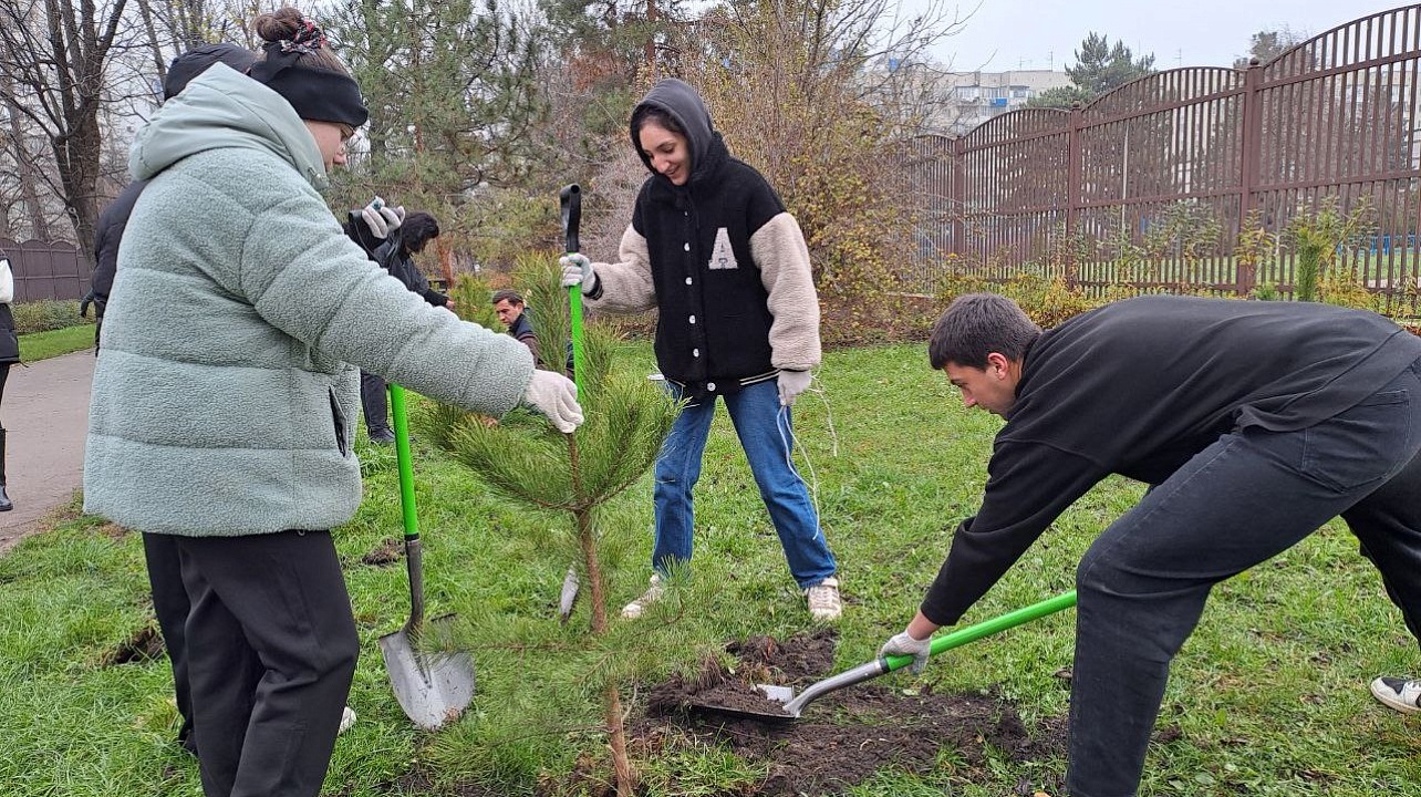 Фото: городская Дума Краснодара