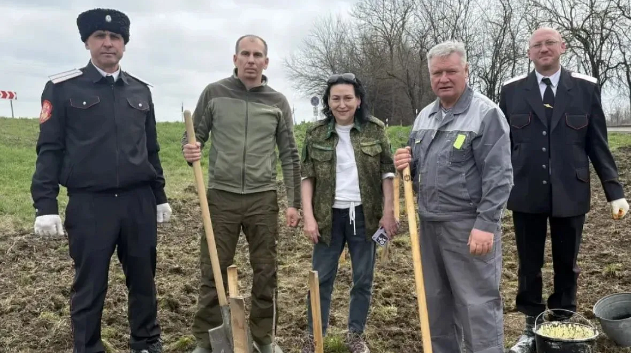 Фото: Пресс-служба администрации Краснодара