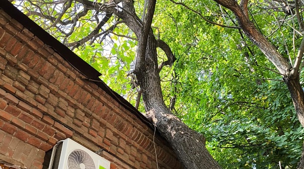 В ночь с 14 на 15 сентября будет отключено электричество в домах, уличное освещение и обесточена контактная сеть трамвая в районе улиц Гоголя и Базовской 