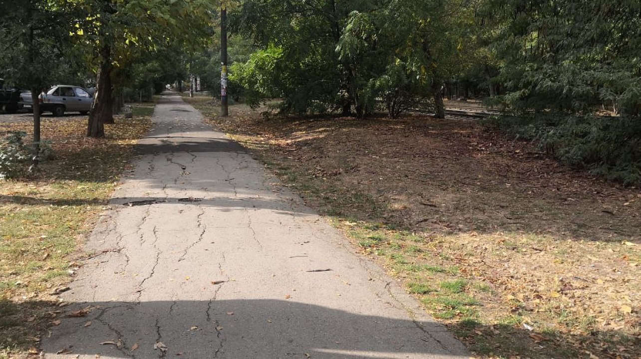 Фото: администрации Центрального округа