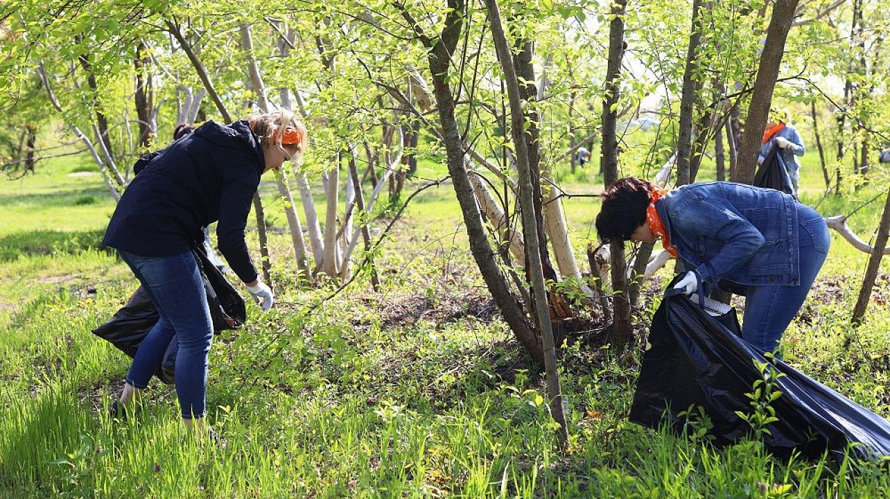 Компания ресторанов Madyar Collection поддержала экологический челлендж #trashtag в Краснодаре