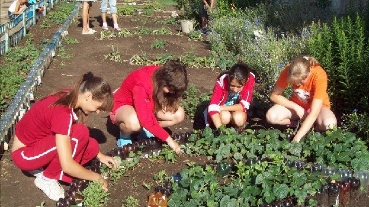 Более 200 учащихся Центрального округа трудятся во время летних каникул