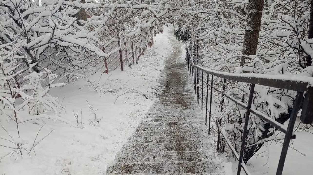 Фото: администрации Центрального округа