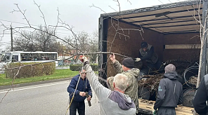 Глава Краснодара: В рамках компенсационного озеленения осенью уже высажено более 550 деревьев и порядка 22 тысяч кустарников