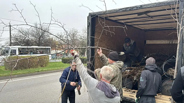 Глава Краснодара: В рамках компенсационного озеленения осенью уже высажено более 550 деревьев и порядка 22 тысяч кустарников