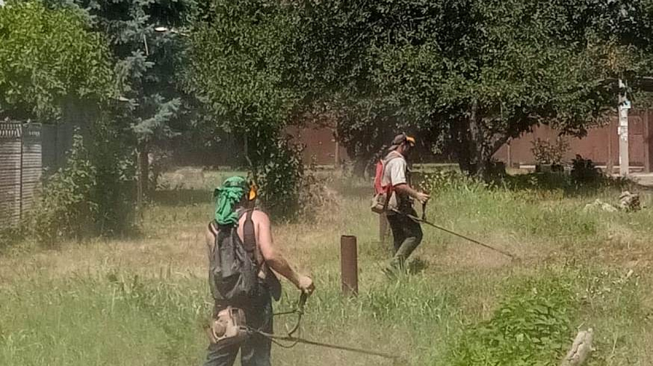 В Прикубанском округе сорная растительность скошена на площади более 350 гектаров