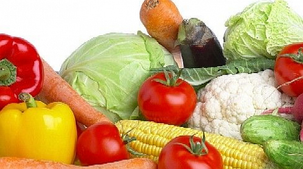 Краснодарцам расскажут о правильном питании