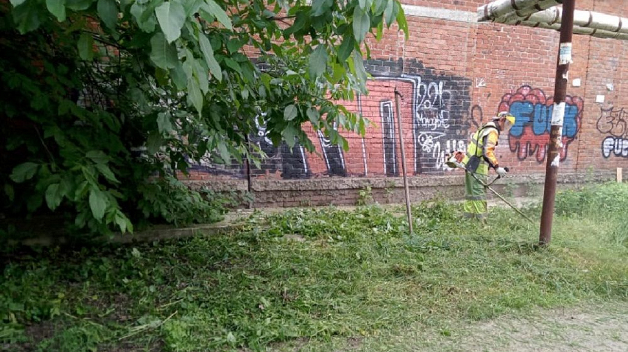 Краснодар_ЗВО_совещание (2).jpeg