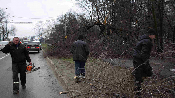 Более 900 пострадавших от наледи деревьев спилено в Прикубанском округе