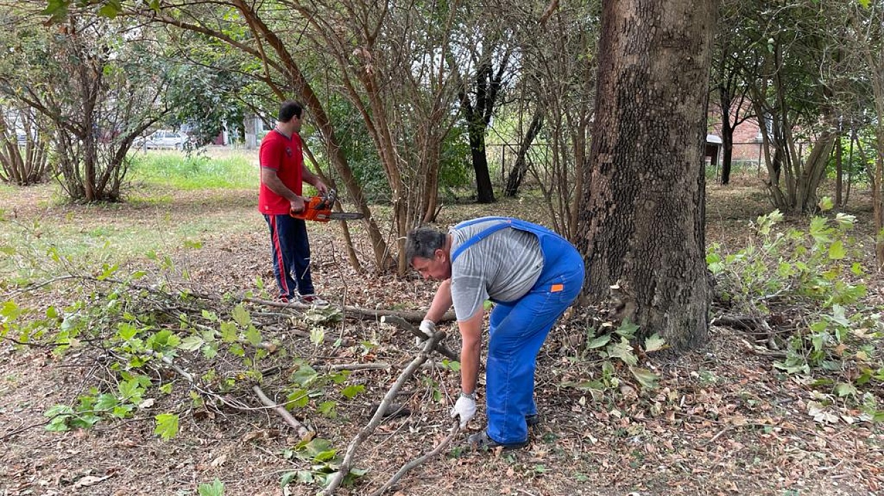 Очередные субботники в ходе осеннего месячника санитарного порядка прошли в Прикубанском округе