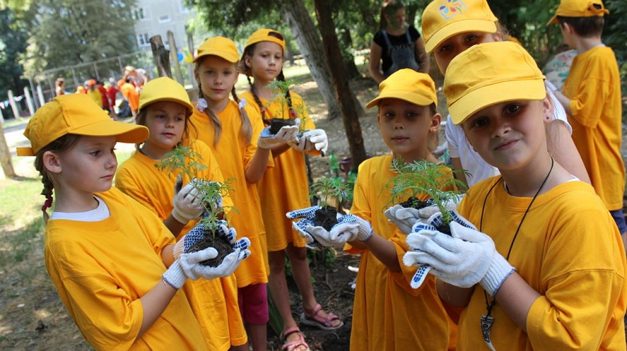 «Самый чистый двор»