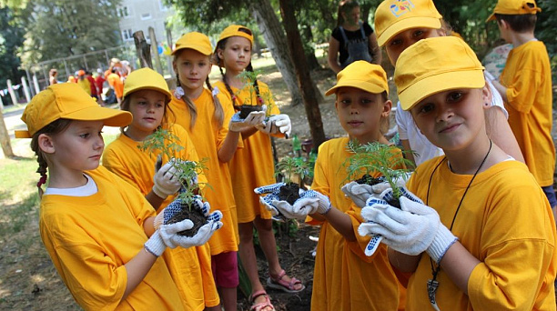 «Самый чистый двор»