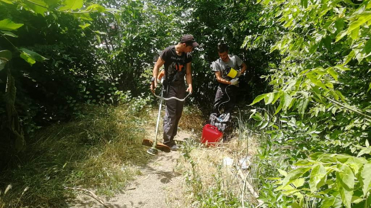 В Западном округе ведется работа  по уничтожению сорной растительности