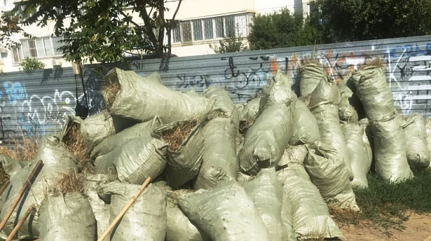 В Юбилейном микрорайоне прошел субботник