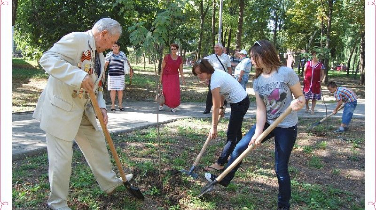 И зашумит «Лес Победы» – экологическая акция прошла в Краснодаре (2).jpg