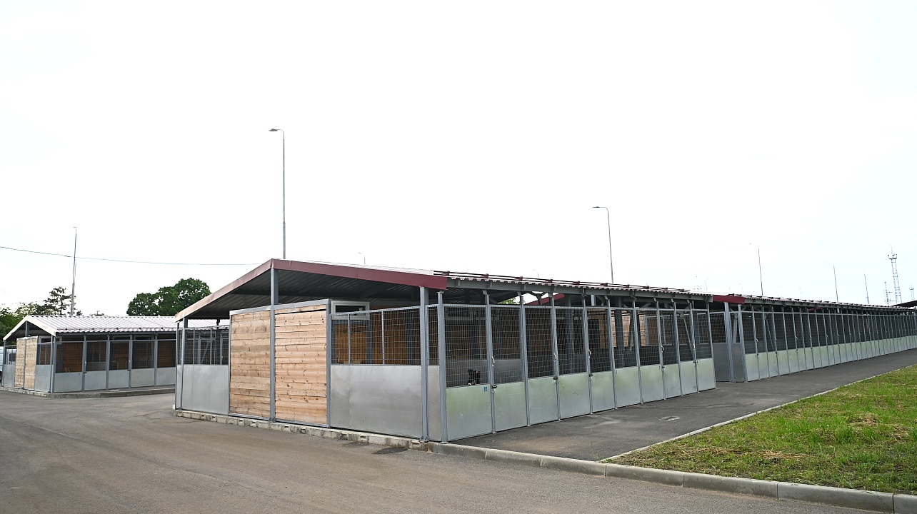 Фото: Андрей Зубов