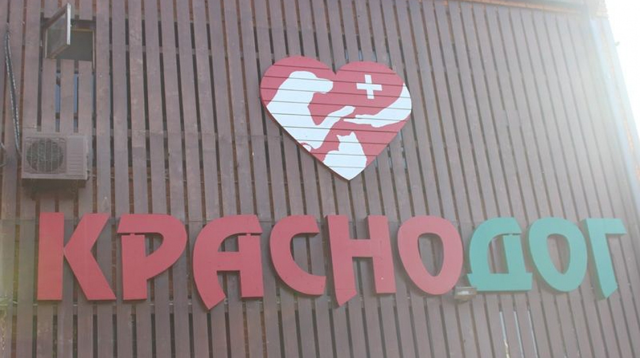 «Новогодний день добра»