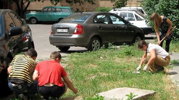 В Прикубанском округе уничтожена амброзия на площади более 4 тысяч гектаров