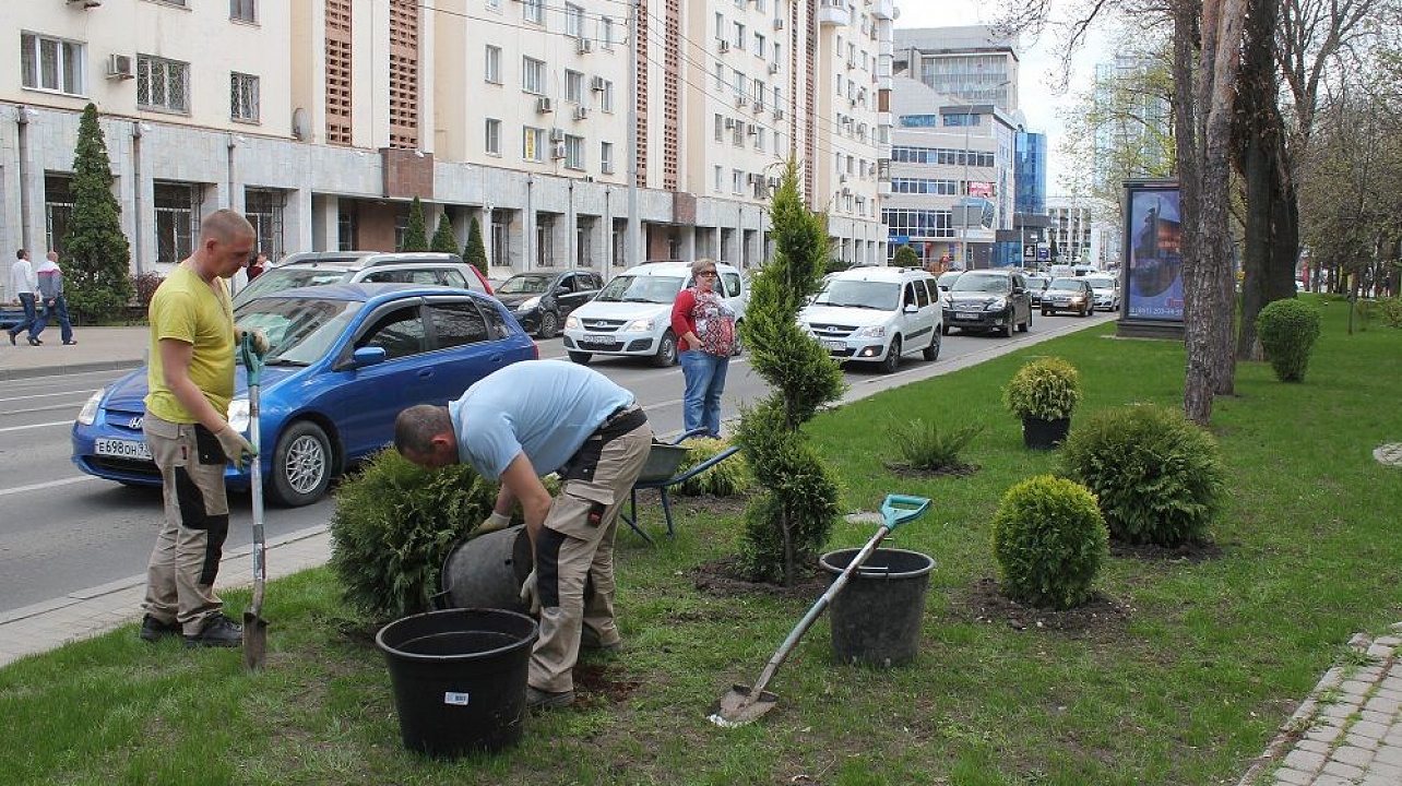Фото: Алим Джеппаров