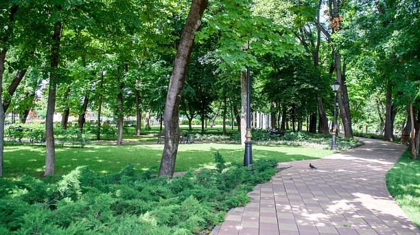 Вишняковский сквер и городской сад «Сосновый» стали особо охраняемыми природными территориями