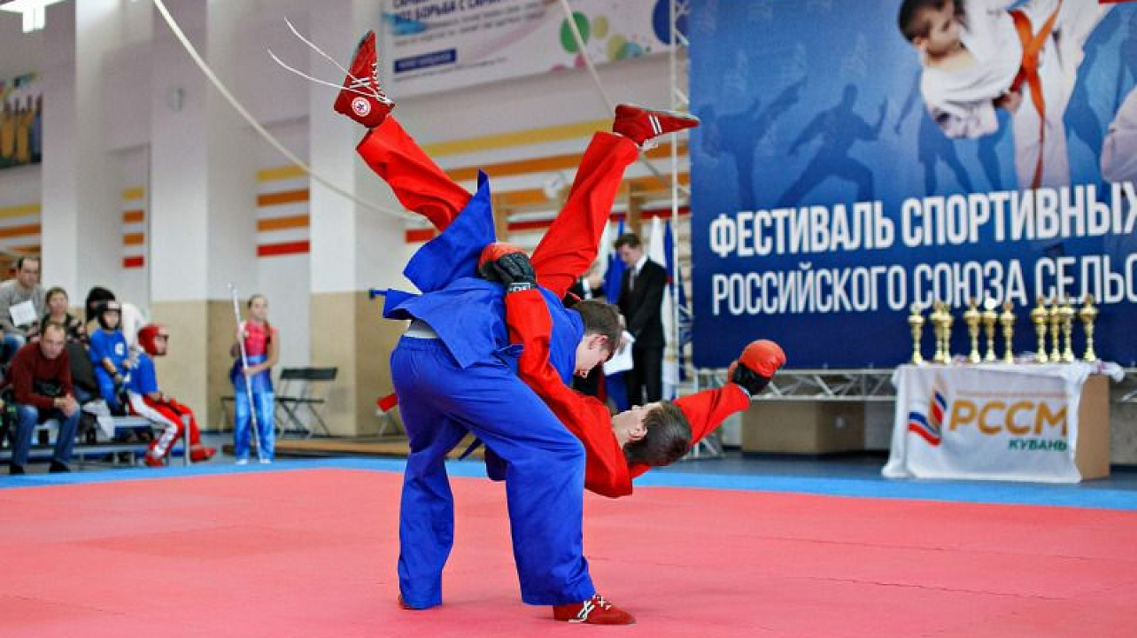 В Краснодаре прошёл ежегодный фестиваль спортивных единоборств.jpg