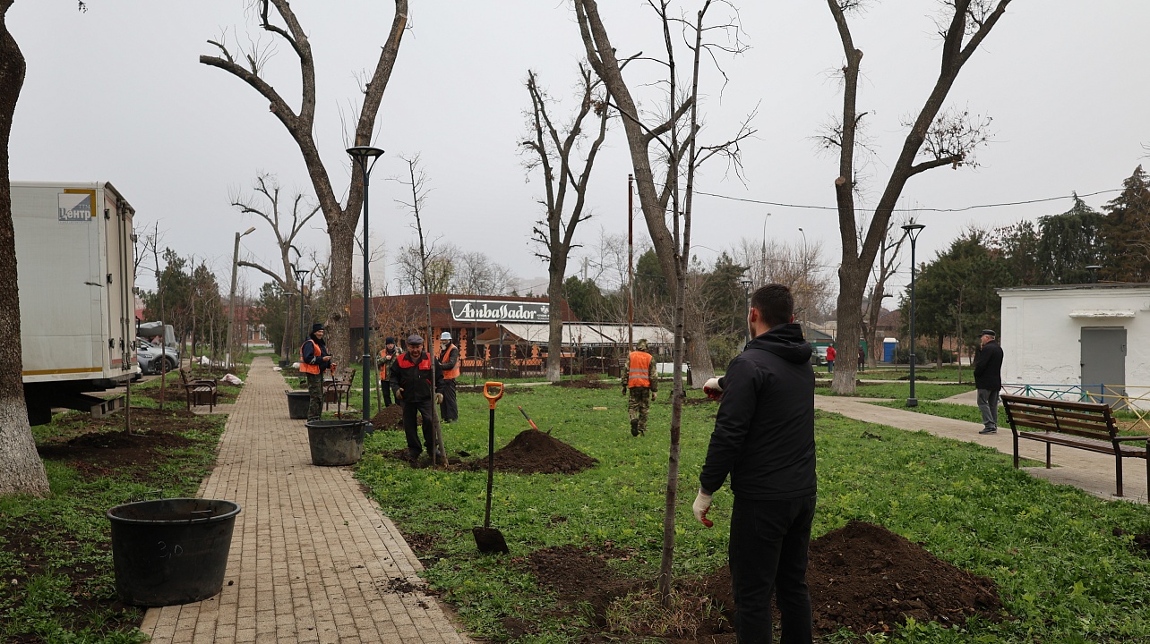 Фото: администрации Центрального округа