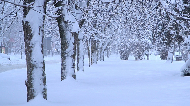 В Краснодаре высота снежного покрова достигла рекордной для января отметки