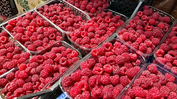 За крыжовником, малиной и другими ягодами — на ярмарки выходного дня