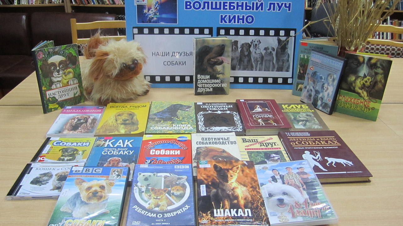 «Наши друзья — собаки»