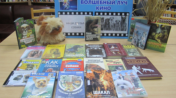 Для детей Западного округа, состоялось литературное видеопутешествие «Наши друзья — собаки»