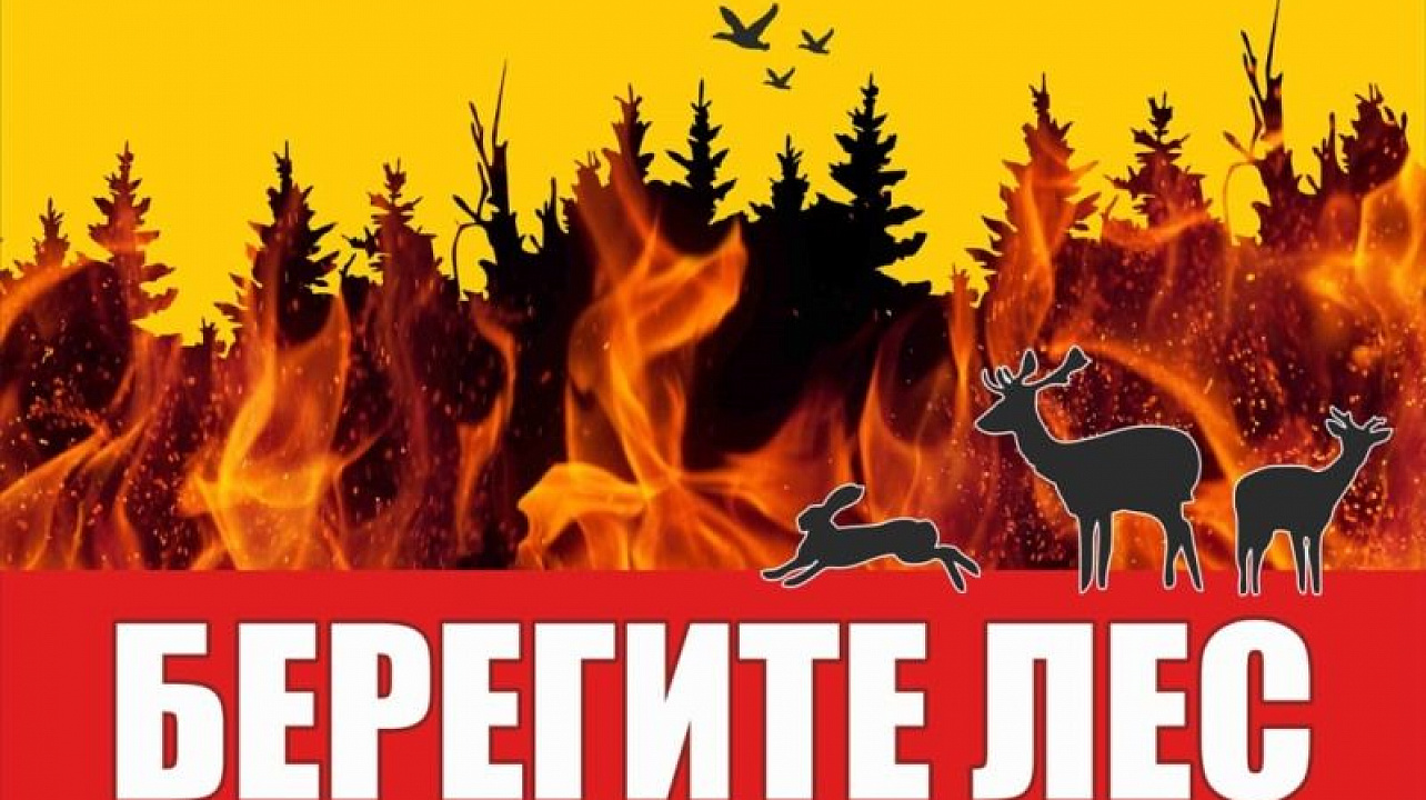 Берегите лес.jpg