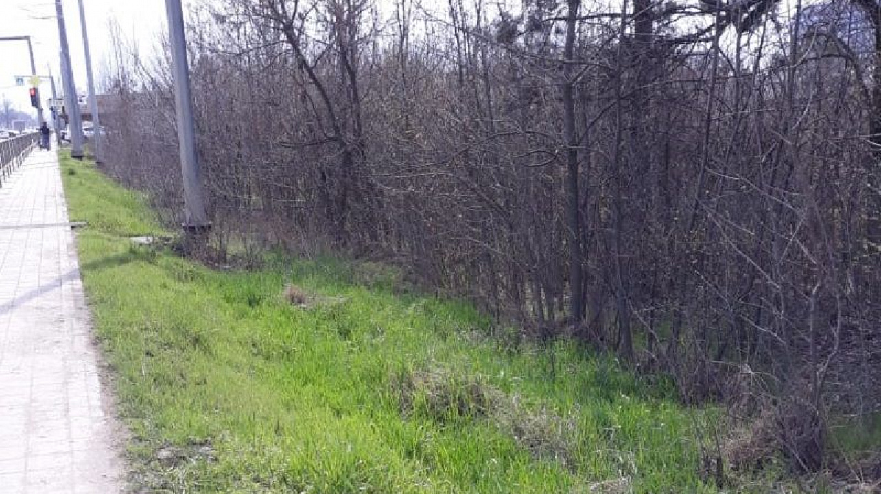 В рамках челленджа #trashtag в Краснодаре очистили от мусора участок Ростовского шоссе