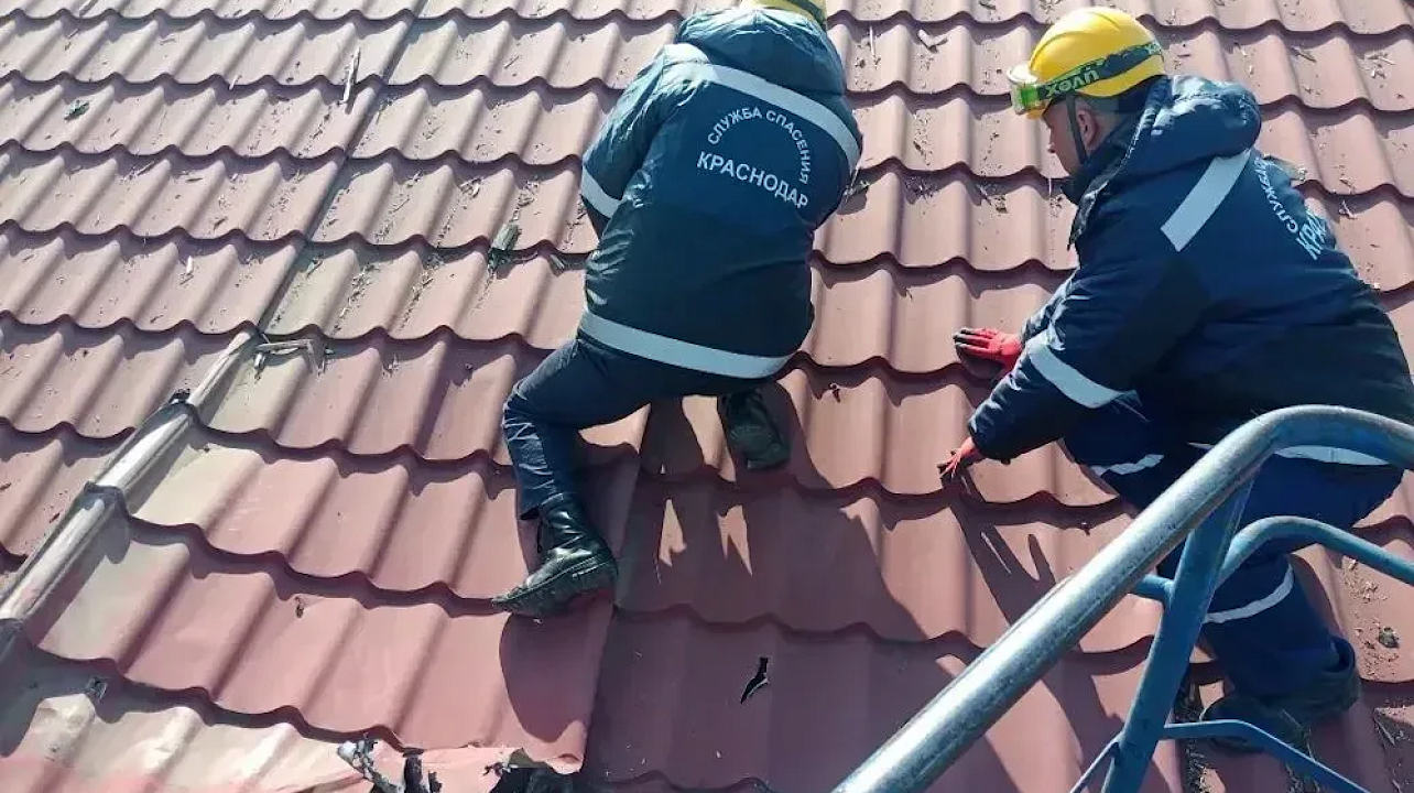 Фото: max.ru/emnaumov