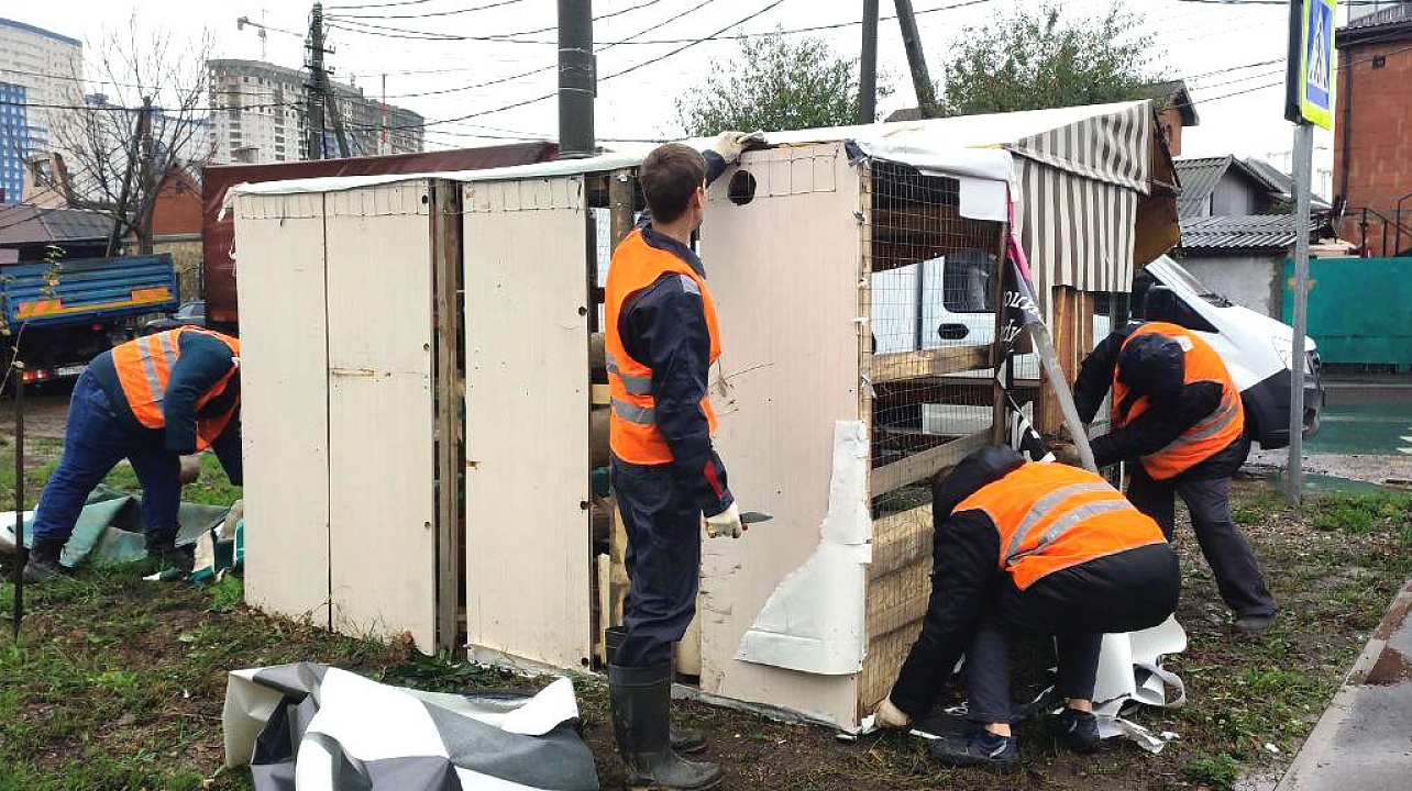 Фото: Телеканал "Краснодар"