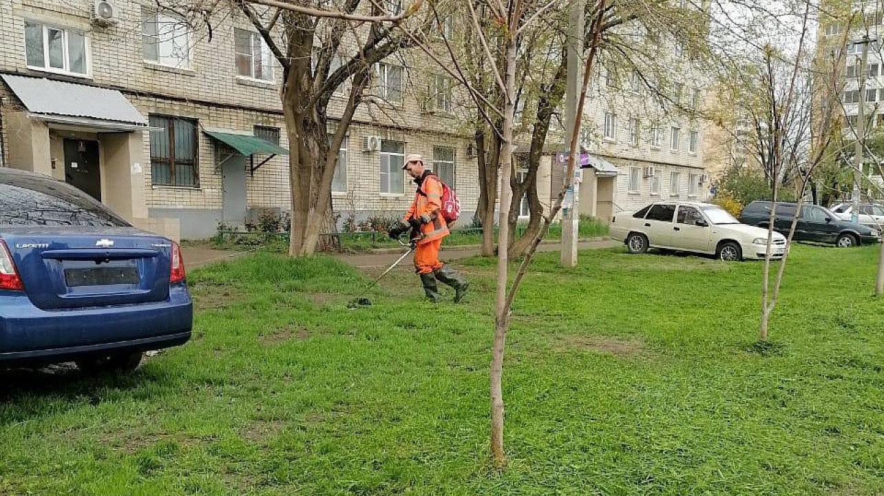 Фото: Пресс-служба администрации Краснодара