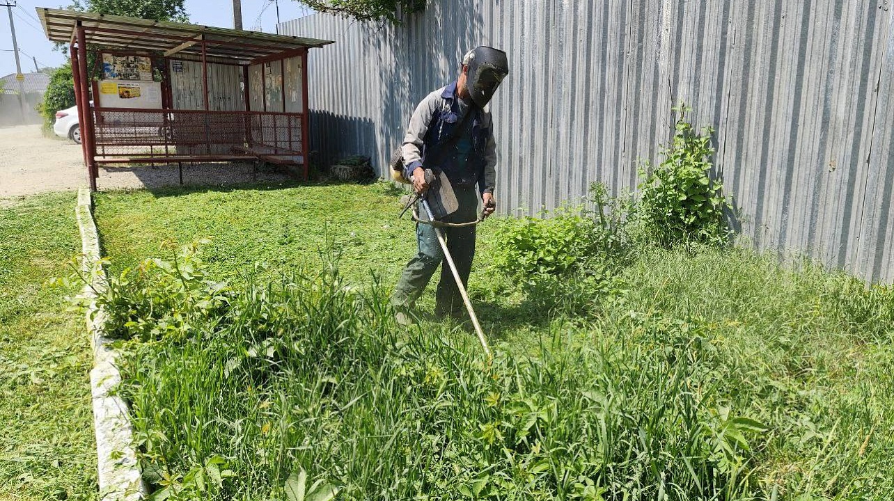 Фото: Пресс-служба администрации Краснодар