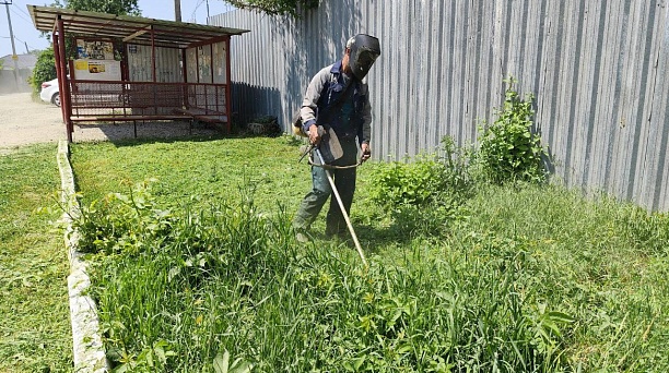 Более 20 тысяч гектаров амброзии и другой сорной растительности выкосили в Краснодаре