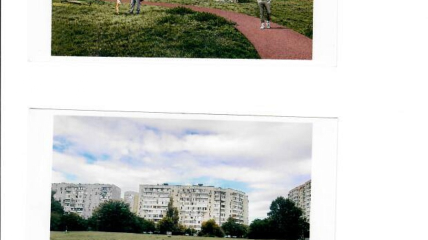 Фото: Вавилова А.В.