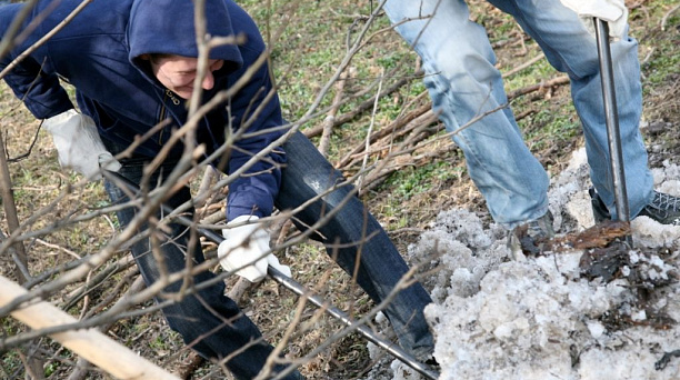 Завтра в Краснодаре состоится общегородской субботник