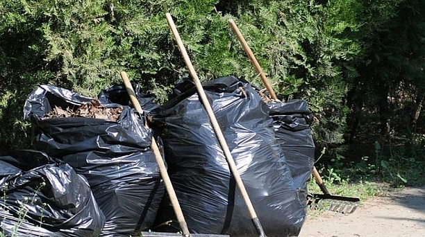 В Краснодаре прошла санитарная пятница