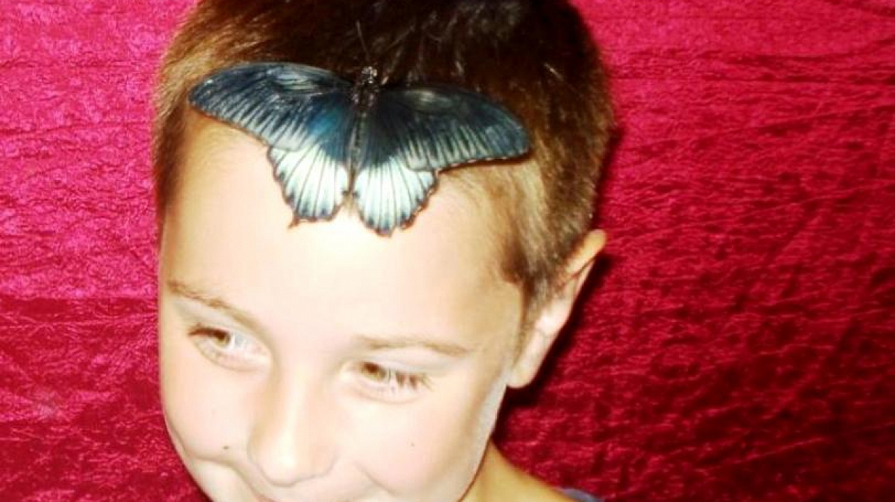 В гости к воспитанникам детского сада № 48 Западного округа прилетали бабочки