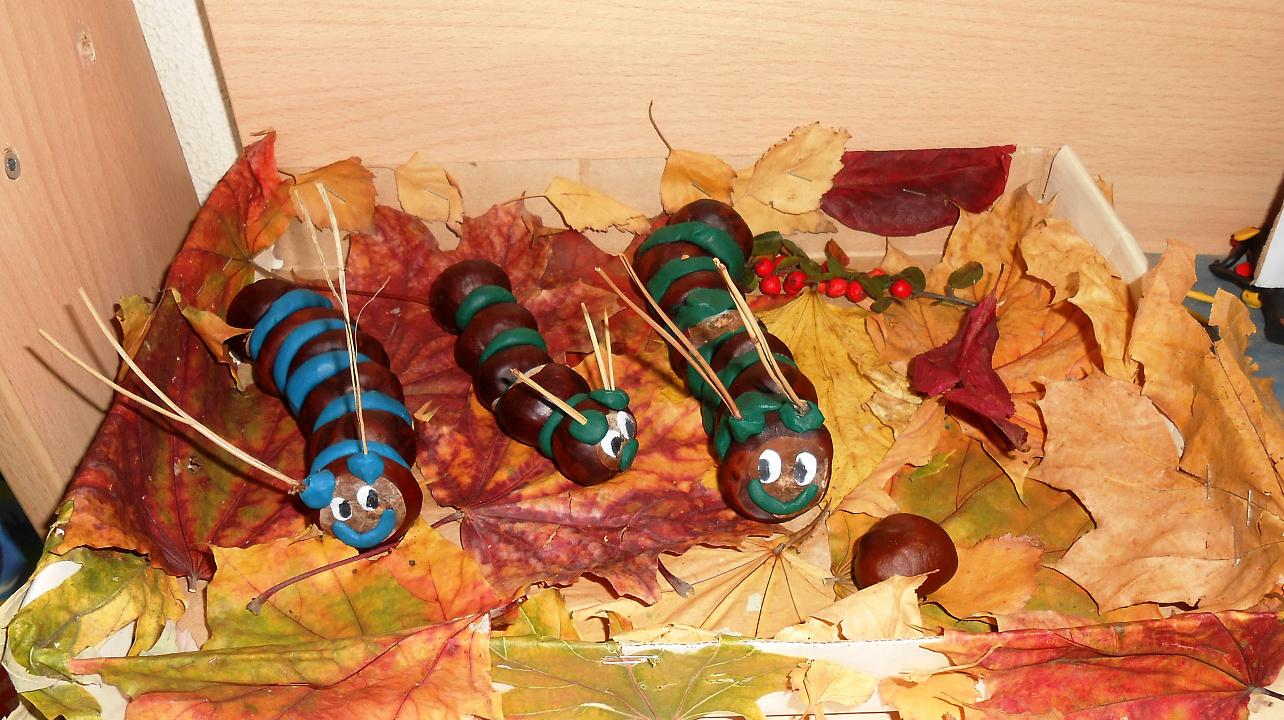 Выставка-конкурс открылась в детском саду Западного округа