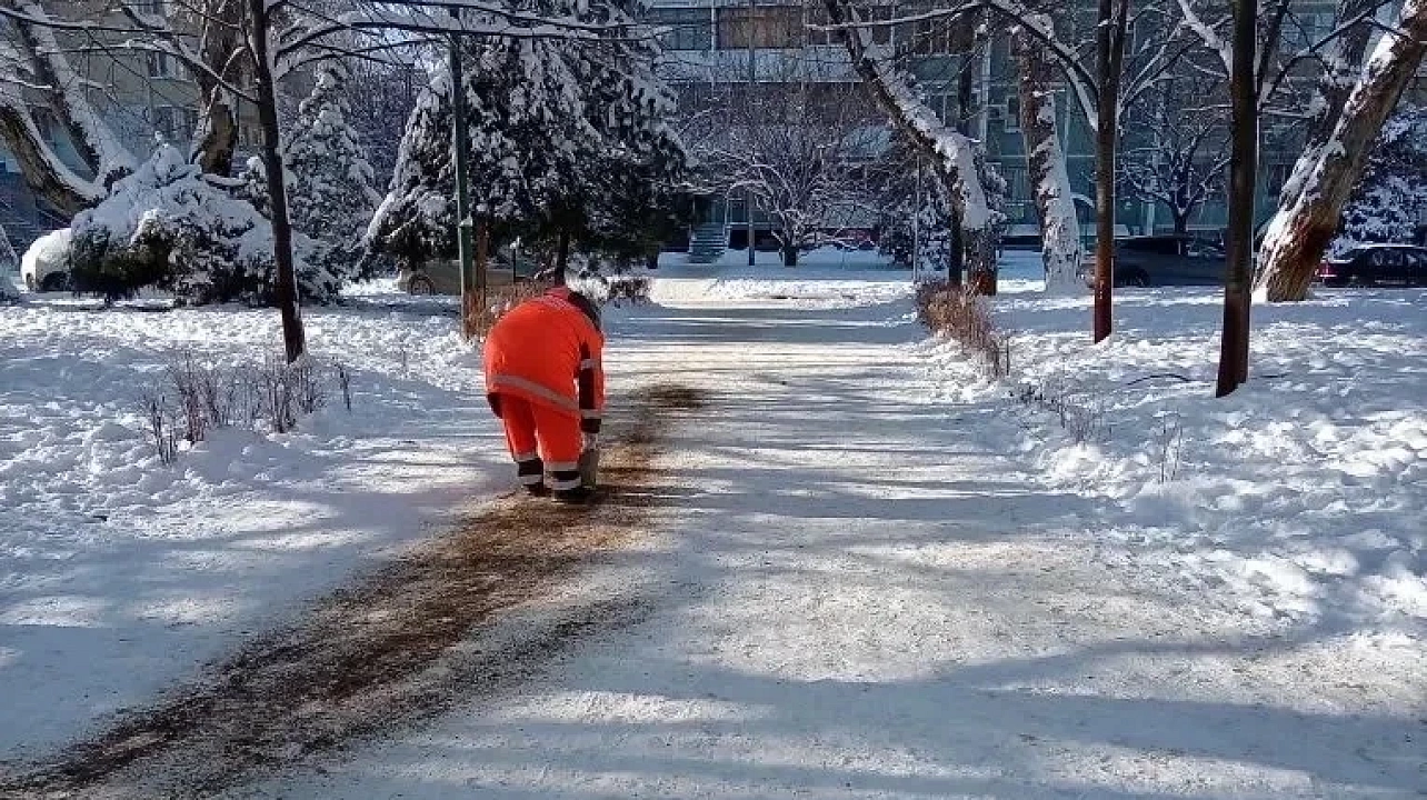 Фото: Пресс-служба администрации Краснодара