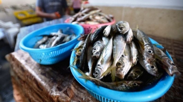 Администрация Западного округа информирует