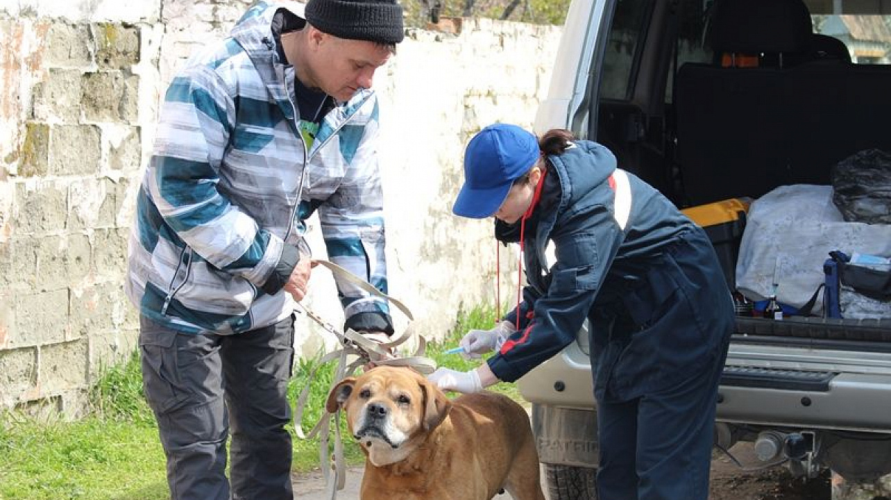 В Центральном округе прошла вакцинация животных