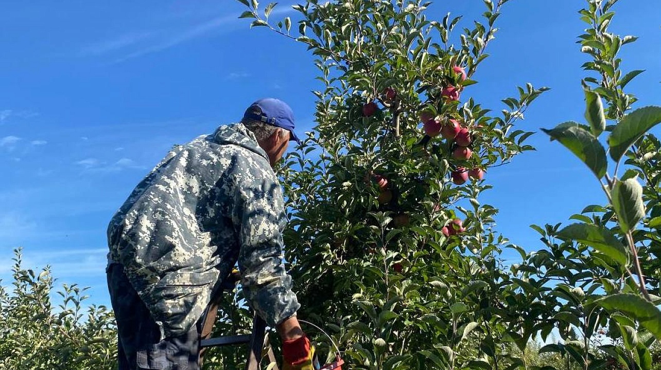 Фото: t.me/emnaumov