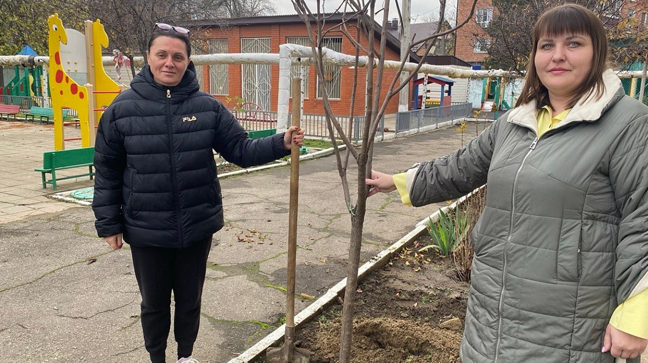 Фото: городская Дума Краснодара